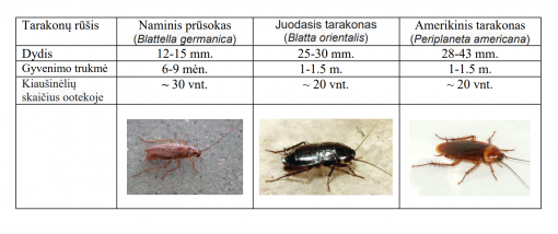 tarakonų naikinimas